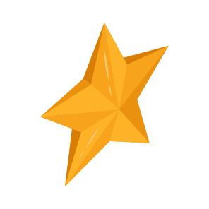Shining Star, Star Light, Decorative Star, Christmas Decoration, Xmas Decor, icon