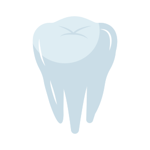 Tooth, Dentology, Stomatology, Dentistry, Healthy Tooth icon