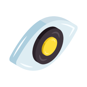 Eye, Vision, Optics, Optometry, Inspection icon