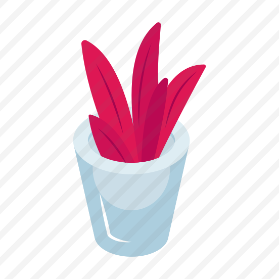 Indoor Plant, Decorative Plant, Houseplant, Potted Plant, Aloe Vera preview