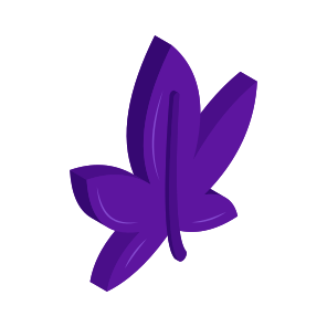 Leaf, Leaflet, Botany, Nature, Ecology icon