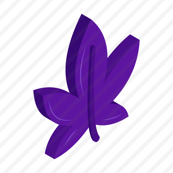 Leaf, Leaflet, Botany, Nature, Ecology preview