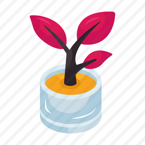 Eco, Plant Pot, Woodland, Botany, Ecology preview