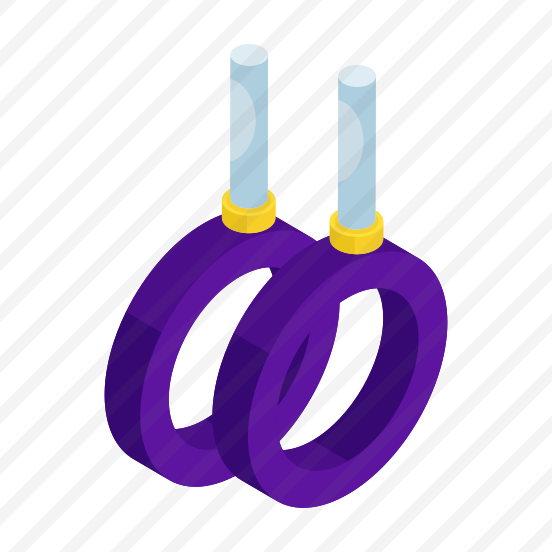 Gymnastic Rings, Gym Equipment, Gym Instrument, Gym Tool, Olympic Rings preview