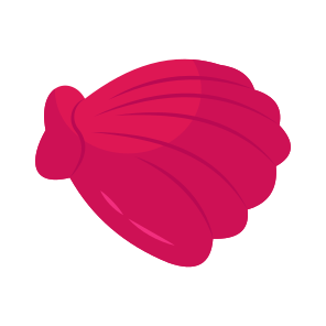 Seashell, Mollusc, Conch, Mussel, Clam icon