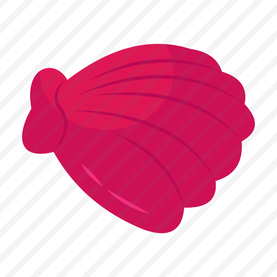 Seashell, Mollusc, Conch, Mussel, Clam preview