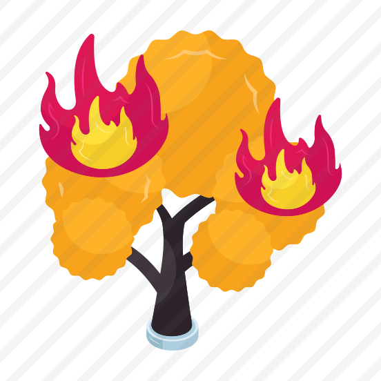 Forest Fire, Tree Burning, Forest Burning, Bushfire, Disaster preview