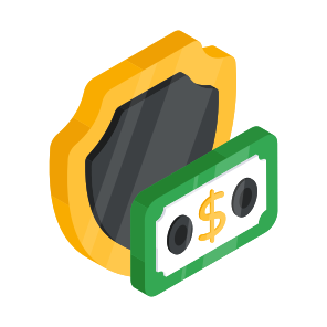 Financial Security, Financial Protection, Money Security, Money Protection, Financial Assurance icon