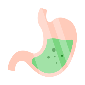 Stomach, Digestion, Human Organ, Internal Anatomy, Biology, icon