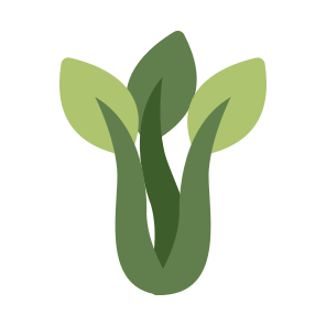Leaves, Eco, Ecology, Nature, Botany icon