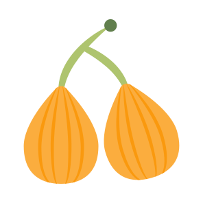 Onion, Vegetable, Veggie, Edible, Eatable, Ss icon