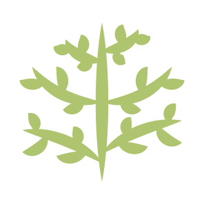 Vegetable, Veggie, Edible, Coriander, Food, Iocn icon