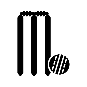Wicket, Stump, Cricket Wicket, Sports Tool, Sports Equipment icon
