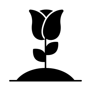 Rose Flower, Floweret, Blossom, Botany, Nature, icon