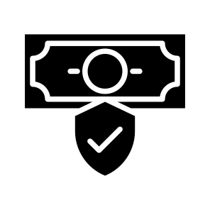 Secure Money, Secure Cash, Secure Currency, Money Protection, Money Security icon