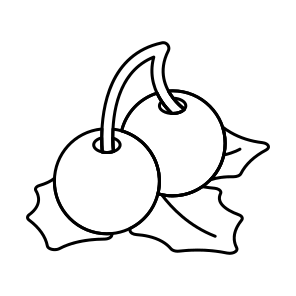 Holly Berries, Christmas Leaf, Ilex Opaca, Holly Tree, Xmas Berries icon
