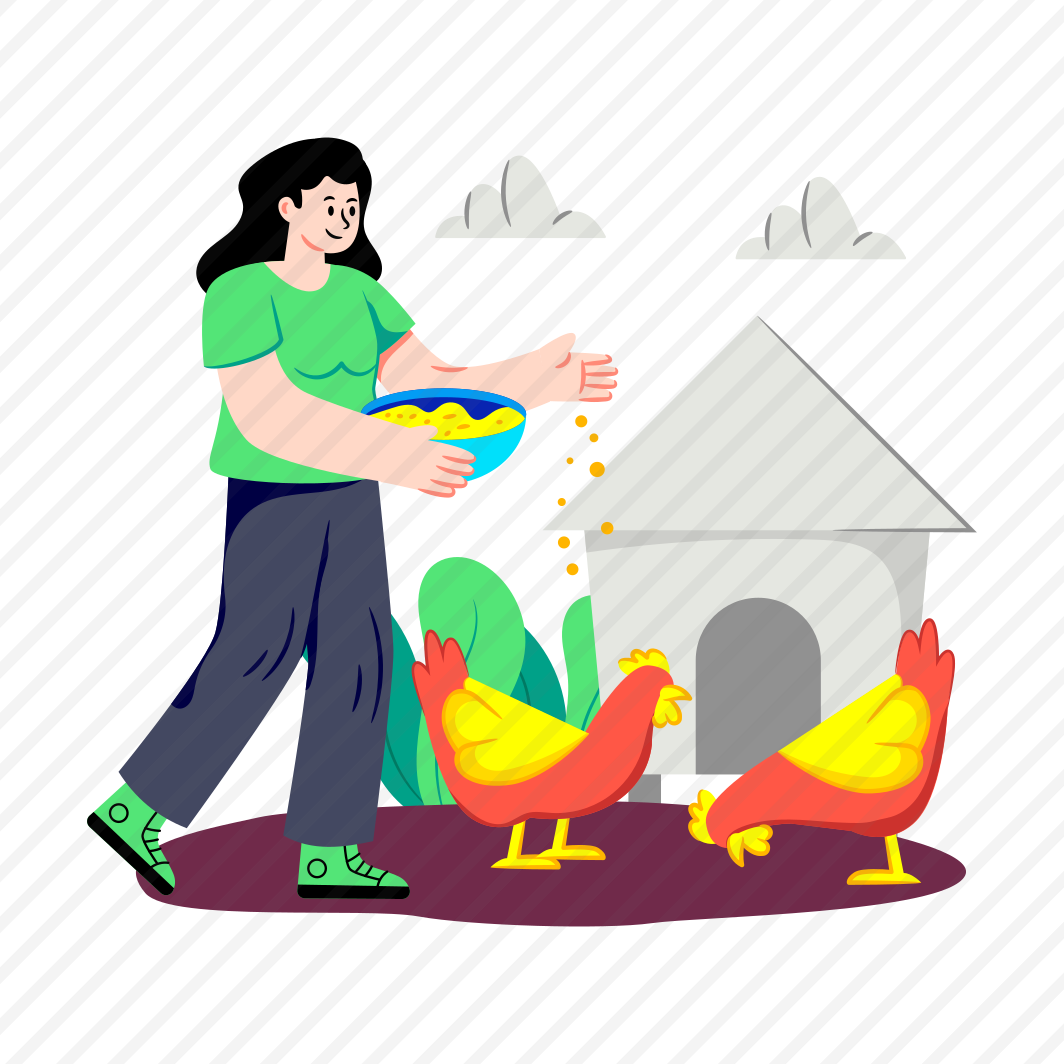 Chickenfeed, Poultry Feed, Breed Chicken, Domestic Birds, Farming preview