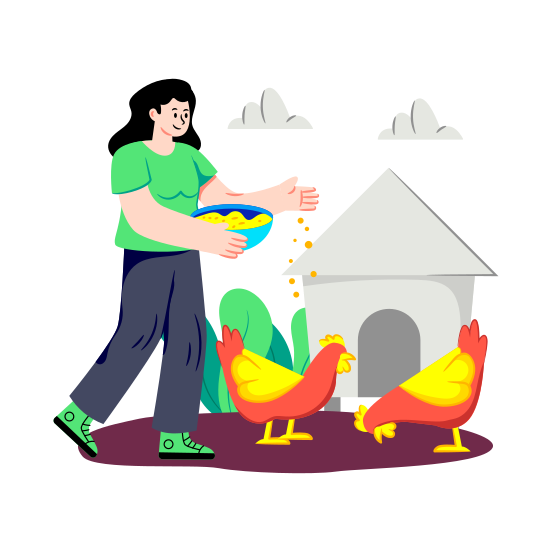 Chickenfeed, Poultry Feed, Breed Chicken, Domestic Birds, Farming illustration