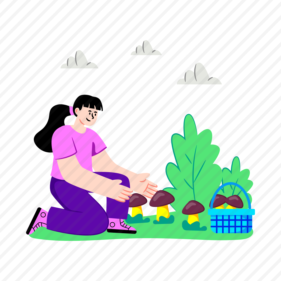 Picking Mushrooms, Gathering Mushrooms, Mushroom Farming, Agriculture, Fresh Toadstool preview