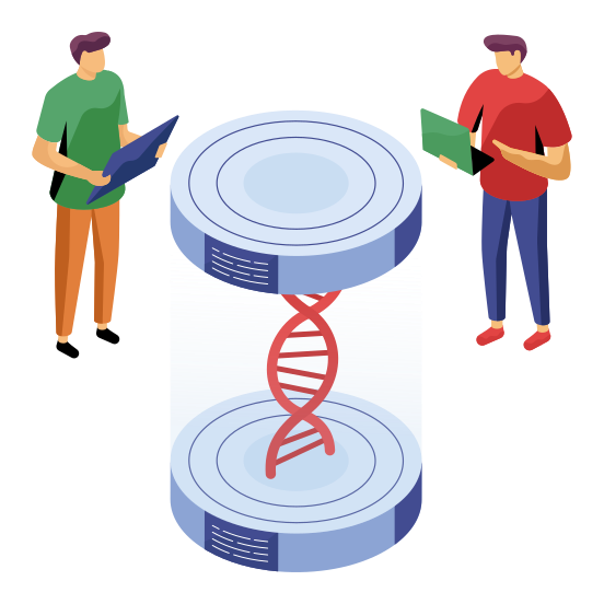 Dna, Deoxyribonucleic Acid, Dna Strand, Genetic Material, Double Helix Strand, illustration