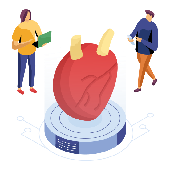 Heart, Heartbeat, Cardio, Cardiology, Heart Rate, illustration