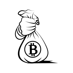 Bitcoin Bag icon