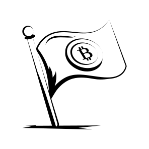 Bitcoin Flag icon