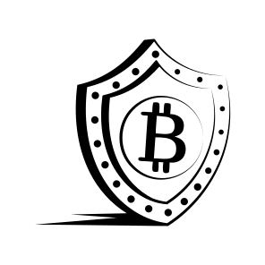 Security Shield icon