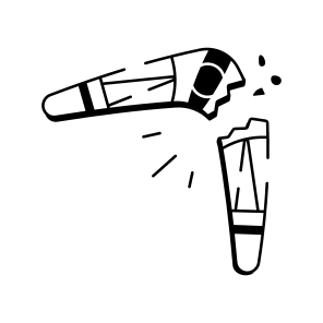 Boomerang icon
