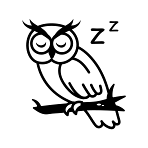 Sleeping Owl icon