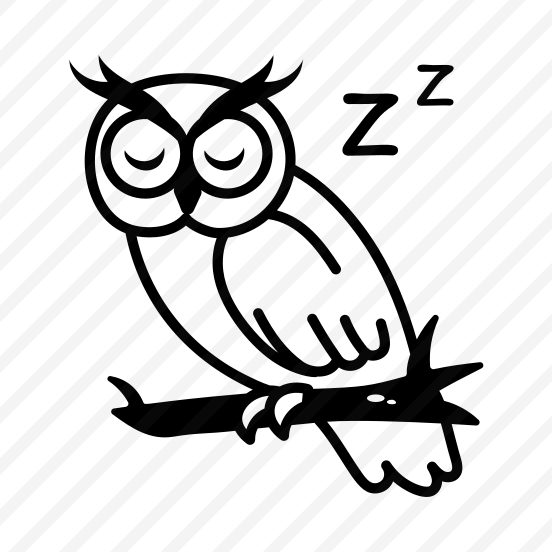 Sleeping Owl preview