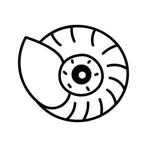 Spiral Shell icon