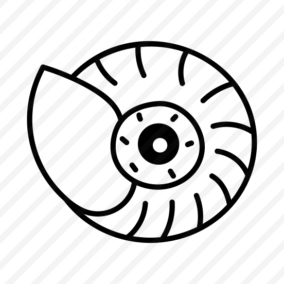 Spiral Shell preview