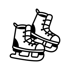 Skating Shoes icon