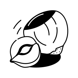 Acorn Nut icon