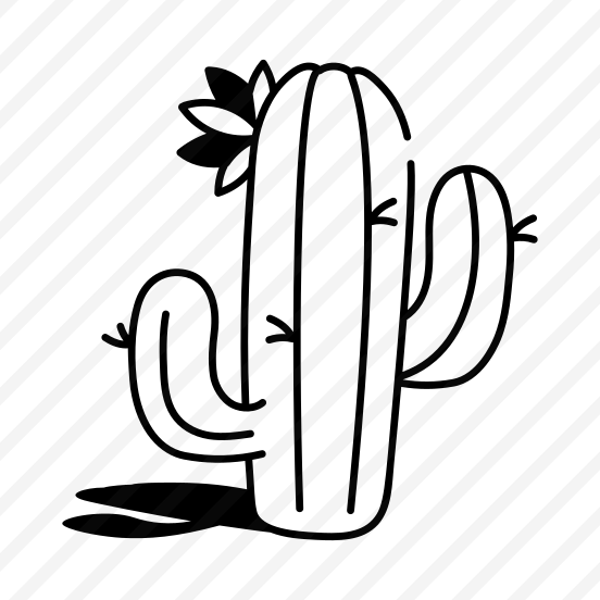 Cactus preview