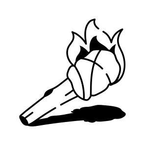 Fire Torch icon