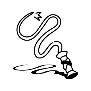 Lasso Rope icon