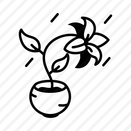 Wilted Plant preview