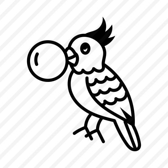 Cockatiel preview