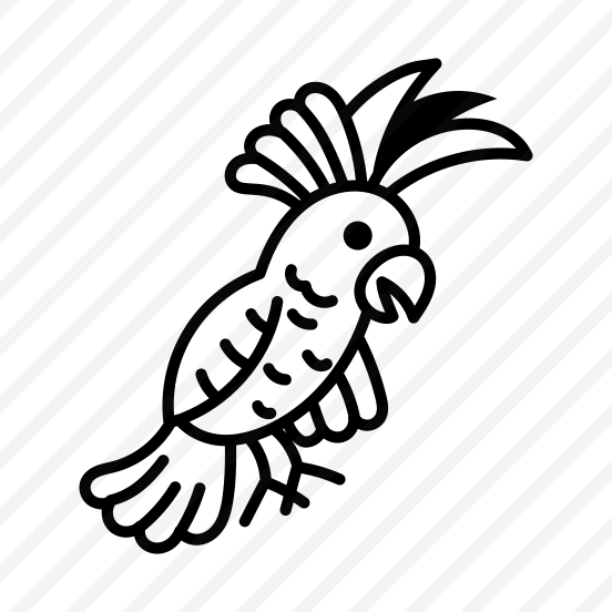 Cockatoo Laughing preview