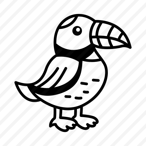 Puffin Bird preview