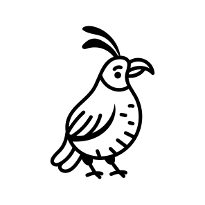 Quail. icon