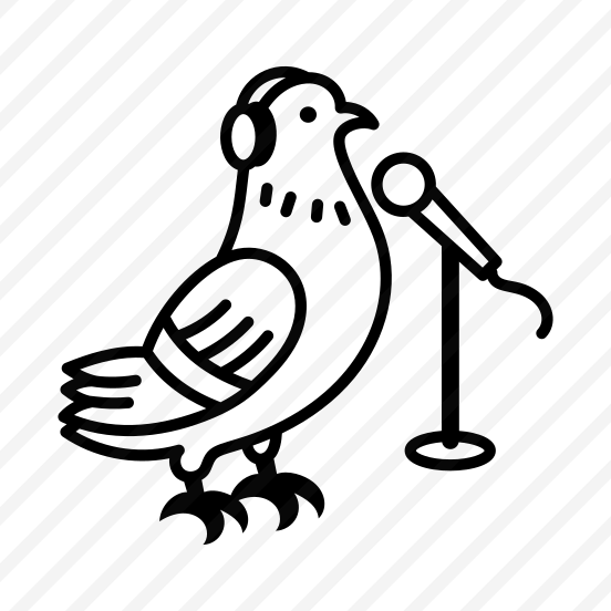 Singing Pigeon preview