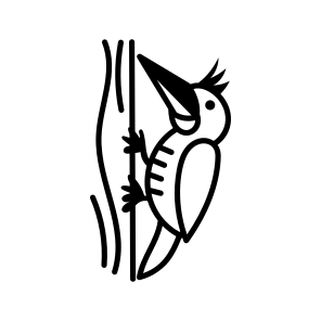 Woodpecker icon
