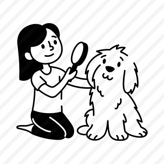 Brushing Dog preview