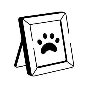 Pet Memory icon