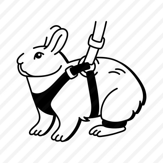 Rabbit Ferret preview