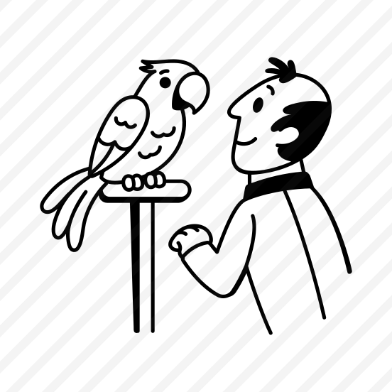 Training Parrot preview