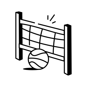 Volleyball icon